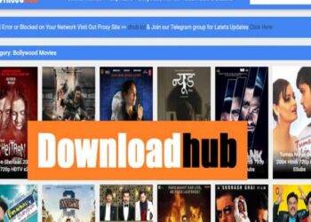 DownloadHub Review