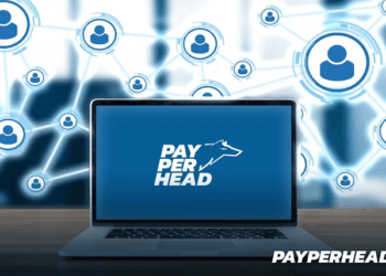 What you need to know about pay per head?
