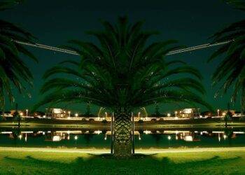 Discover Unique Properties for Sale in Turkey