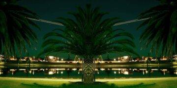 Discover Unique Properties for Sale in Turkey