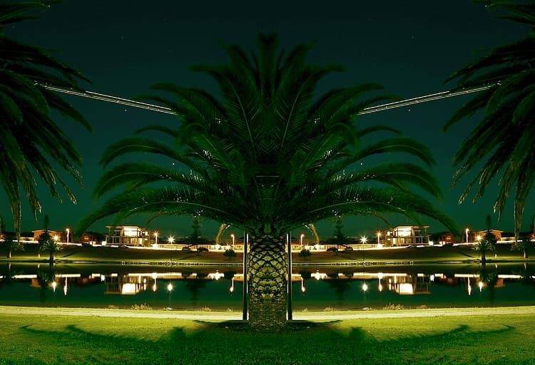 Discover Unique Properties for Sale in Turkey