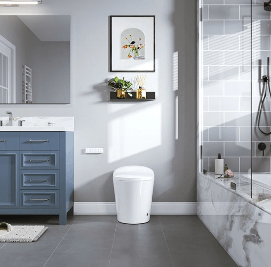 Enhance Your Bathroom Experience with the Horow T20: The Ultimate Toilet with Built-In Bidet